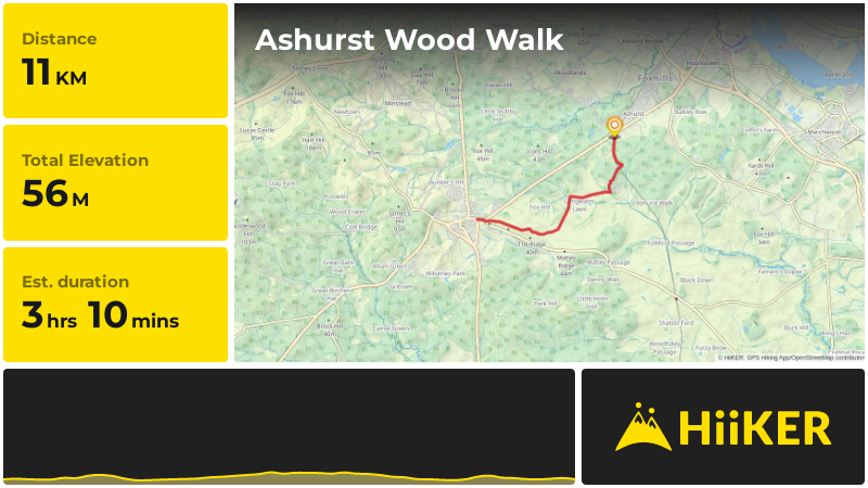Ashurst Wood Walk | Hampshire | England