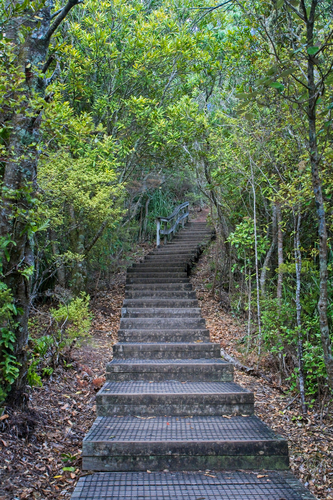 Rangitoto Island Summit