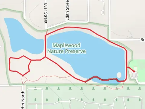 Michael Lane Loop
