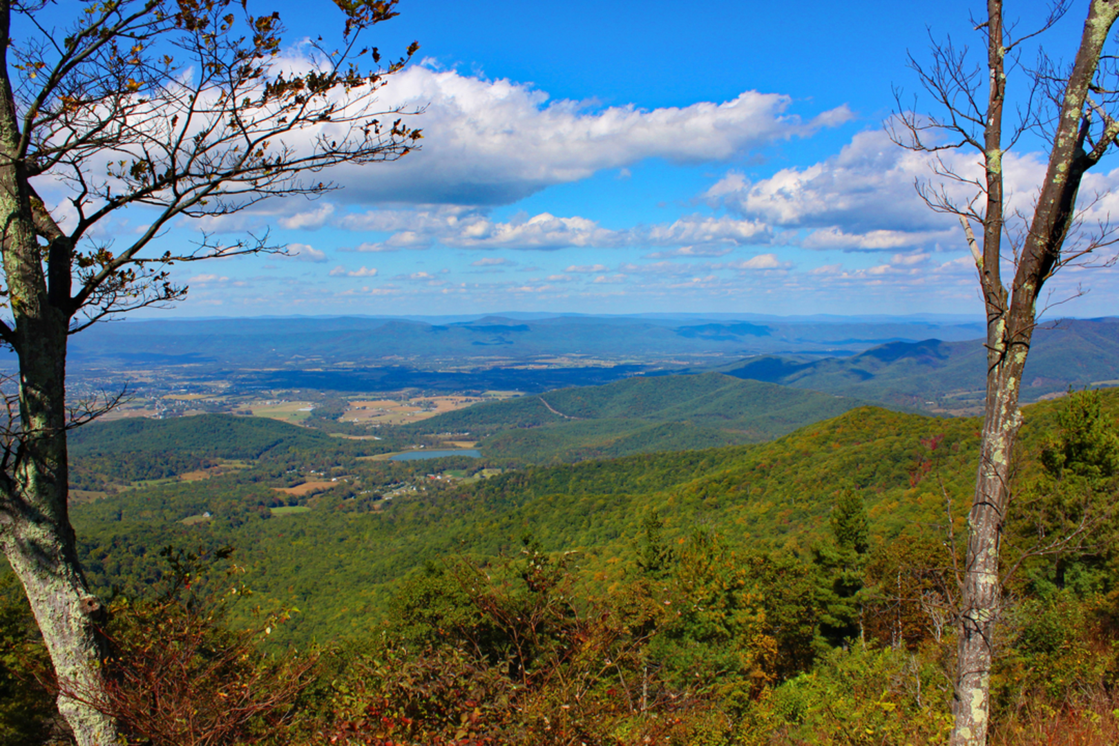An image depicting the trail Leading Ridge Trail and its surrounding area.