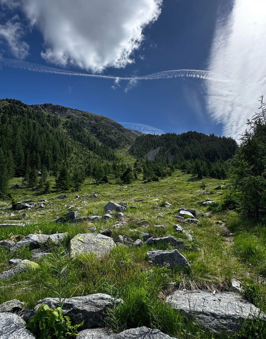 An image depicting the trail Lago Superiore and its surrounding area.