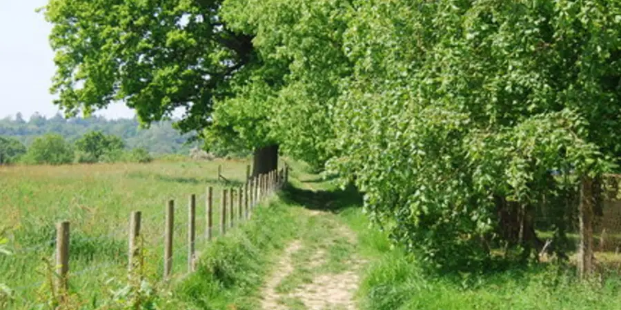 Wittersham to Rye - High Weald Landscape Trail