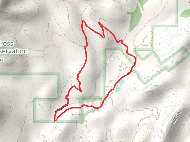 Spur Cross and Dragonfly Loop Trail