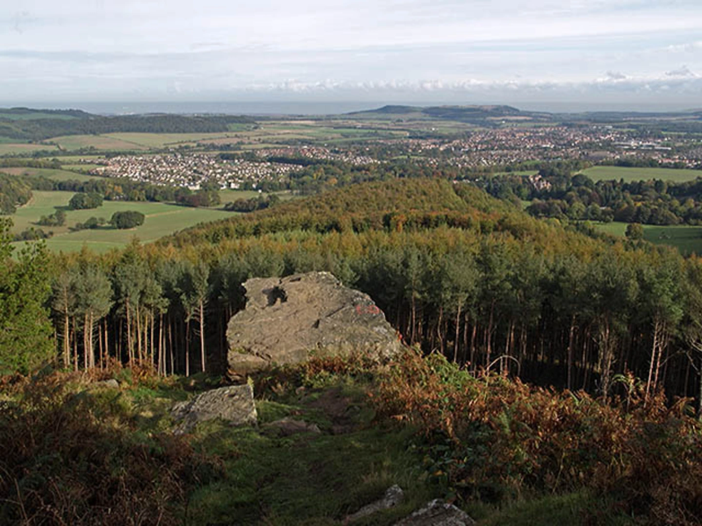 An image depicting the trail Roseberry Common, Ayton Banks Wood and Roseberry Topping Loop and its surrounding area.