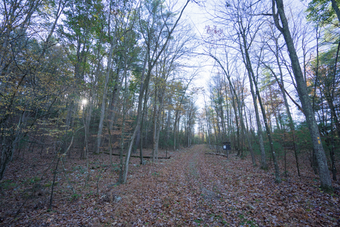 Fridley's Gap Trail and Massanutten S Trail Knot