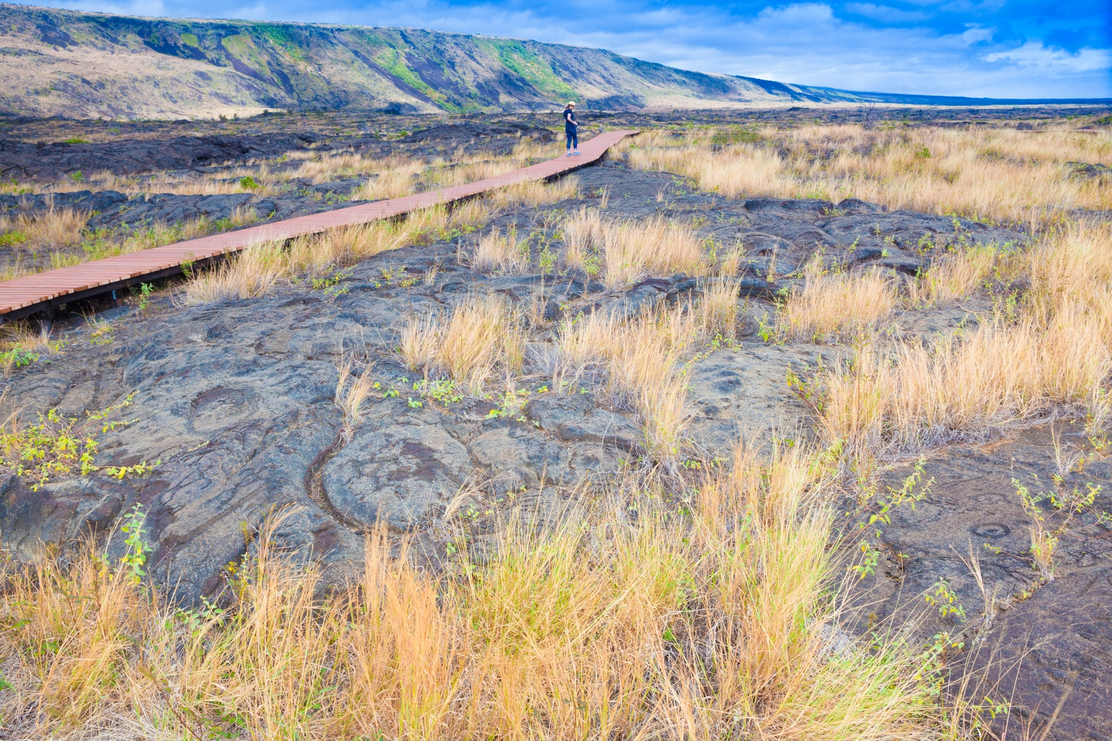 An image depicting the trail Mauna Iki Trail to Pu'u Loa Petroglyphs and its surrounding area.