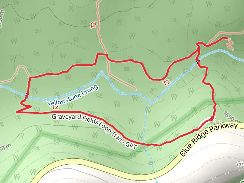 Graveyard Fields Loop Trail