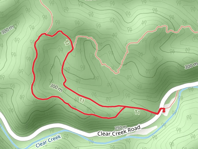 Clear Creek Metro Park - Fern Trail