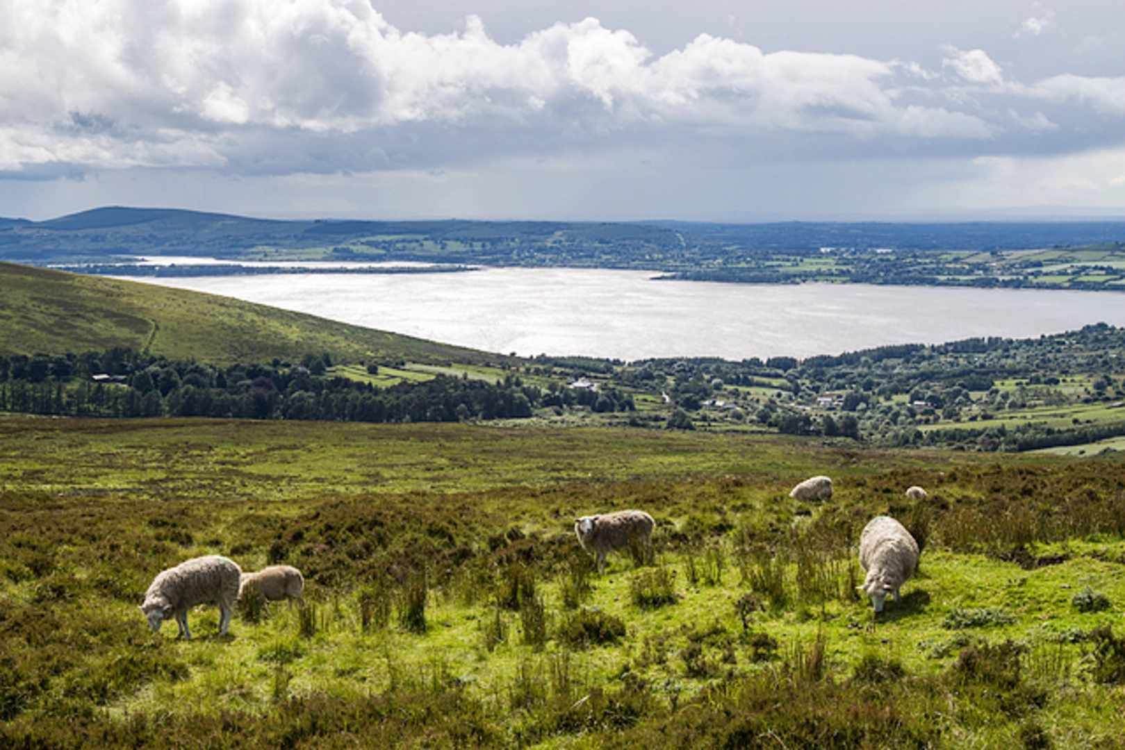 An image depicting the trail Sorrel Hill and its surrounding area.