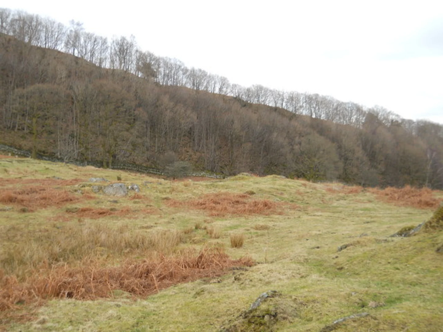 An image depicting the trail Winster Circular Walk and its surrounding area.
