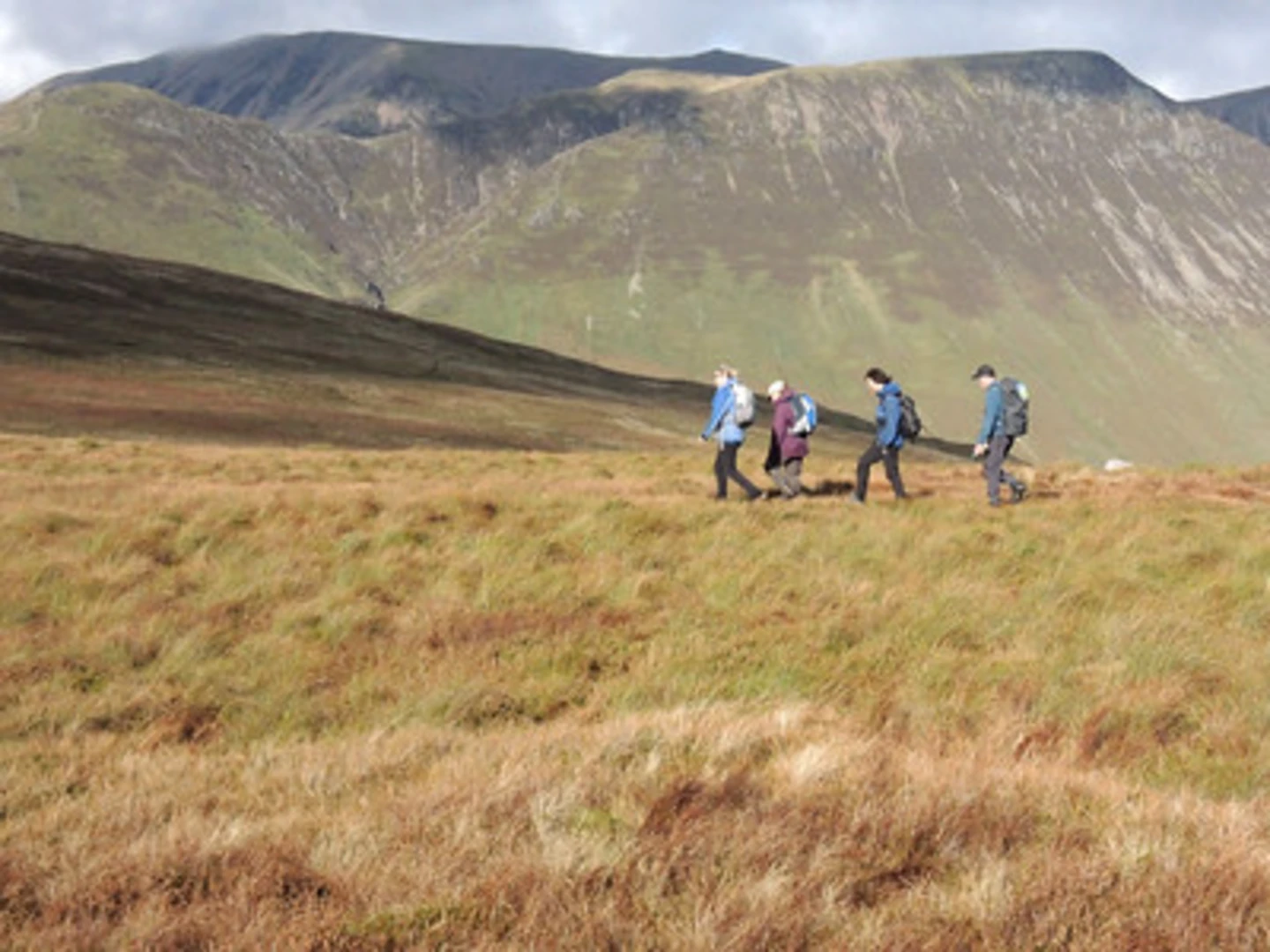An image depicting the trail Buttermere Moss and Robinson Loop and its surrounding area.