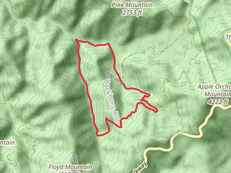 Apple Orchard Falls and Cornelius Creek Trail Loop
