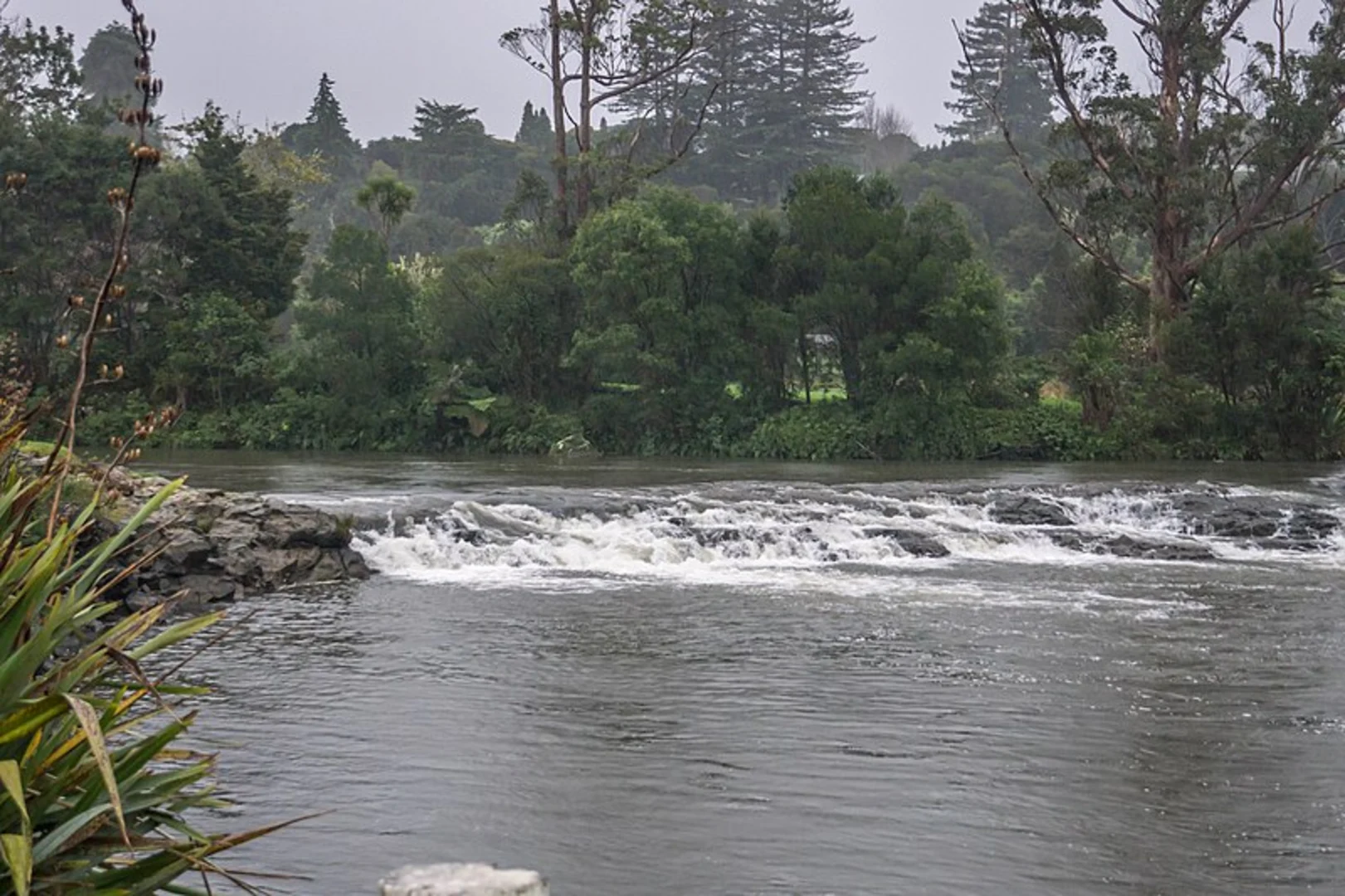 An image depicting the trail Hongi Hika Walk and its surrounding area.