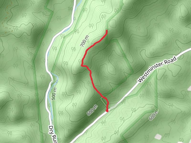 Tower Hill Mountain Trail