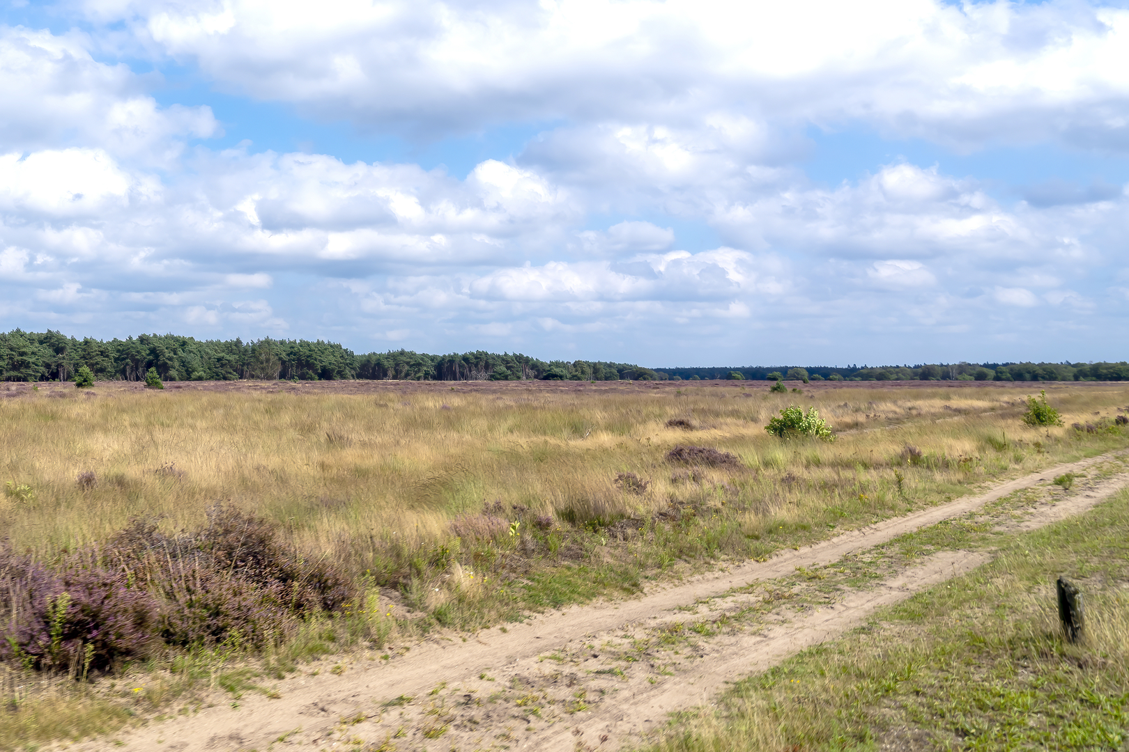 An image depicting the trail Garderen to Natuukamperterrein Drie via Beumelerberg and Konings Weg and its surrounding area.