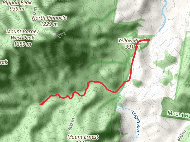 Cronan Creek Falls Track