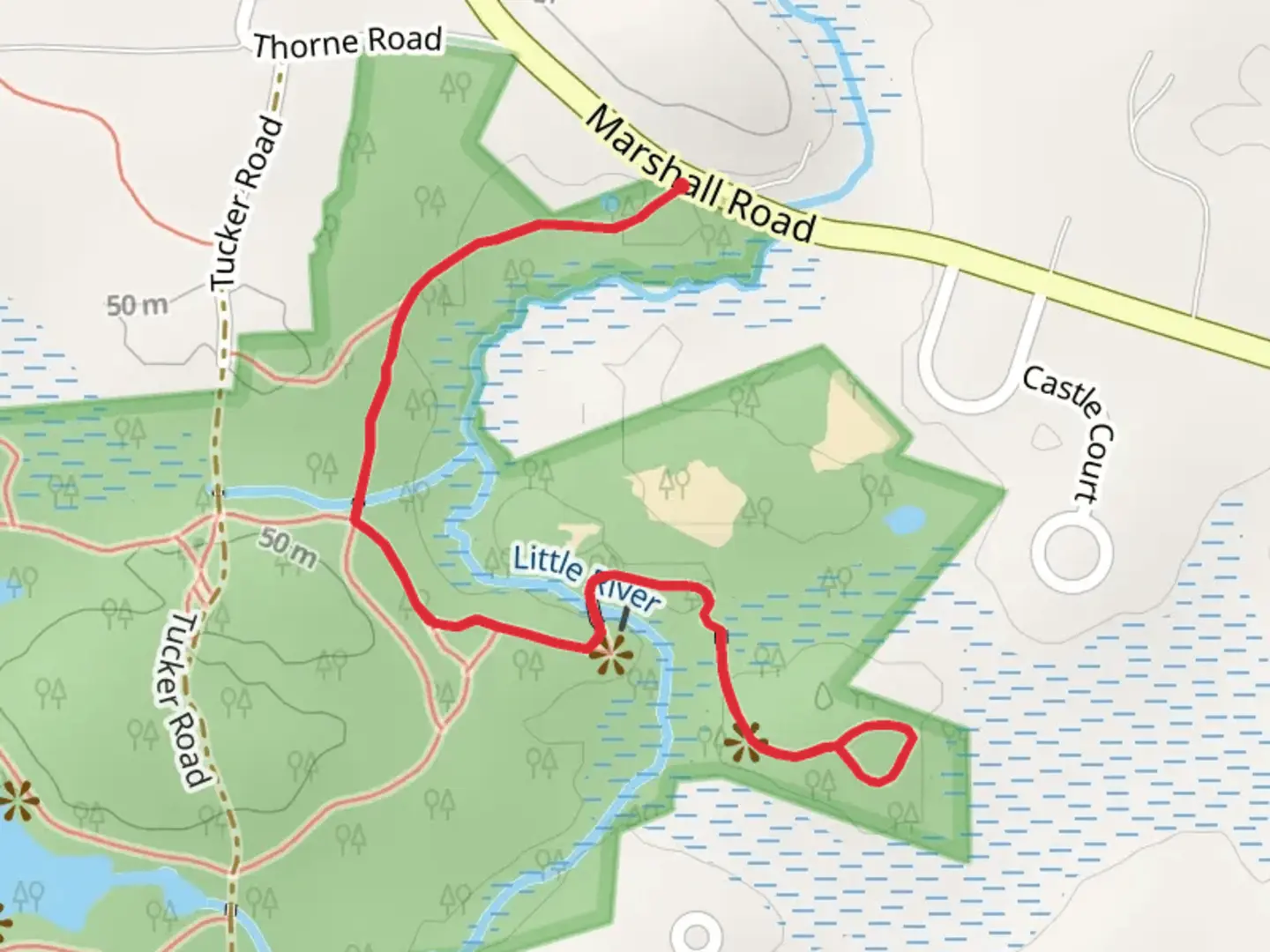 An image depicting the trail Patten Island Loop and French South Trail and its surrounding area.