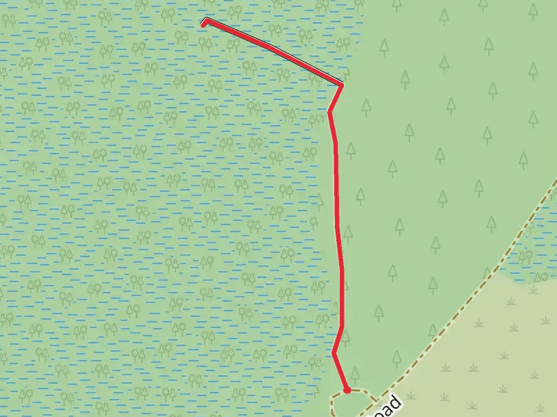 Cow Creek Road