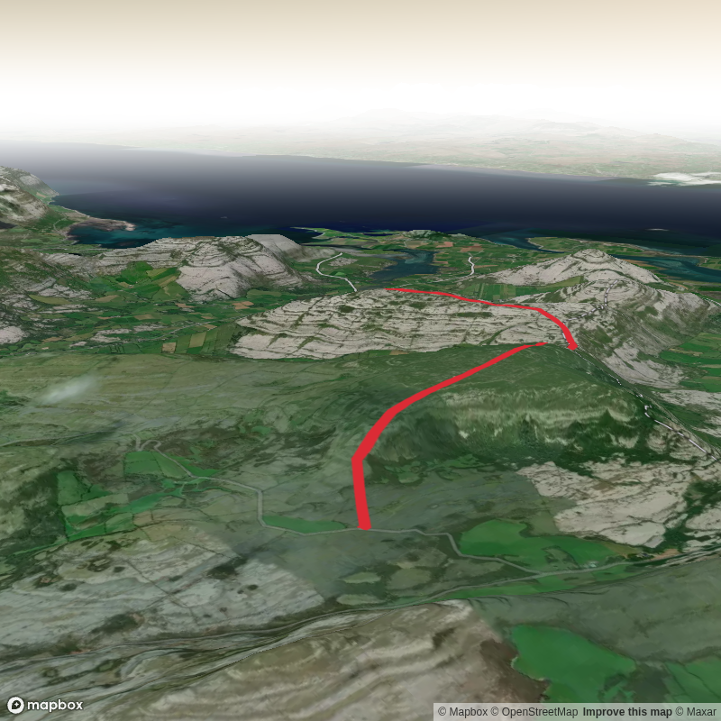 Slieve_Carran_Turlough_Hill_Eagle_1