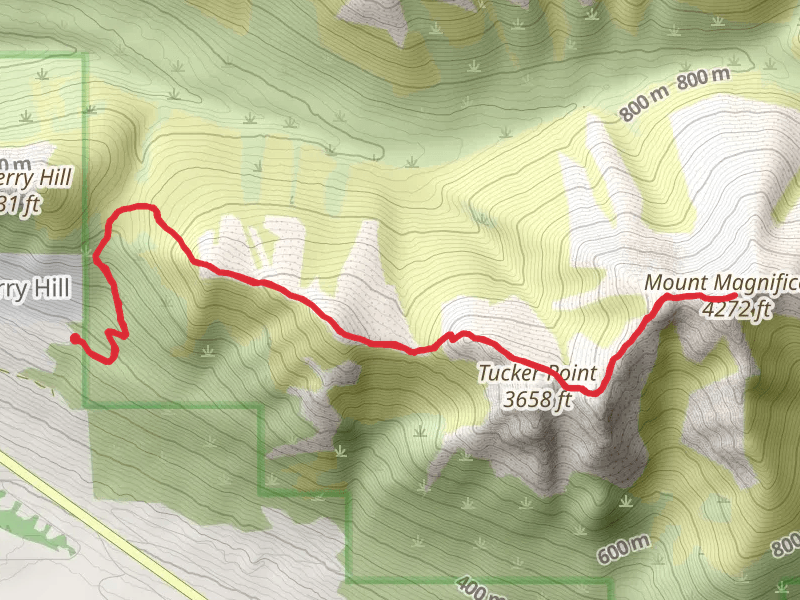 Mount Magnificent via Mile-High Saddle Trail