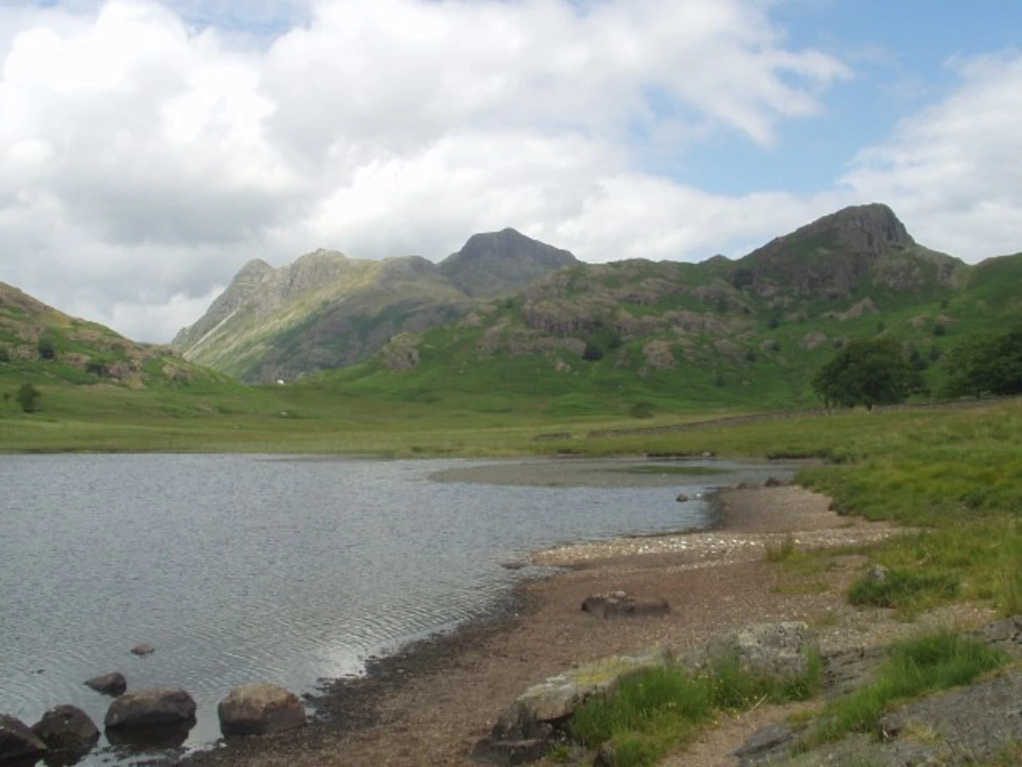 An image depicting the trail Lingmoor Fell, Side Pike and Blea Tarn Loop and its surrounding area.