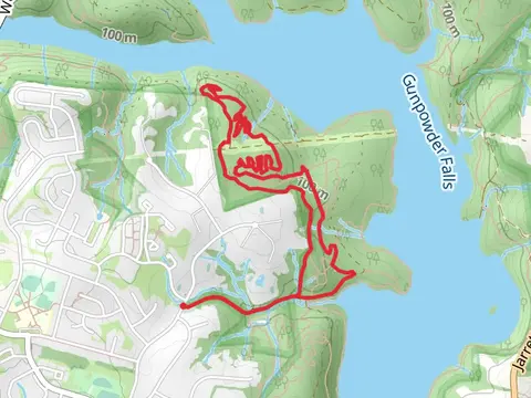 The Backyard and Foundation Run Loop