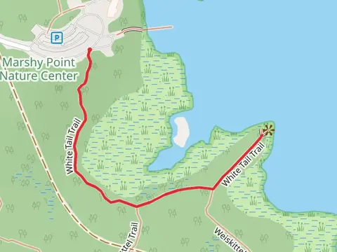 White Tail Trail