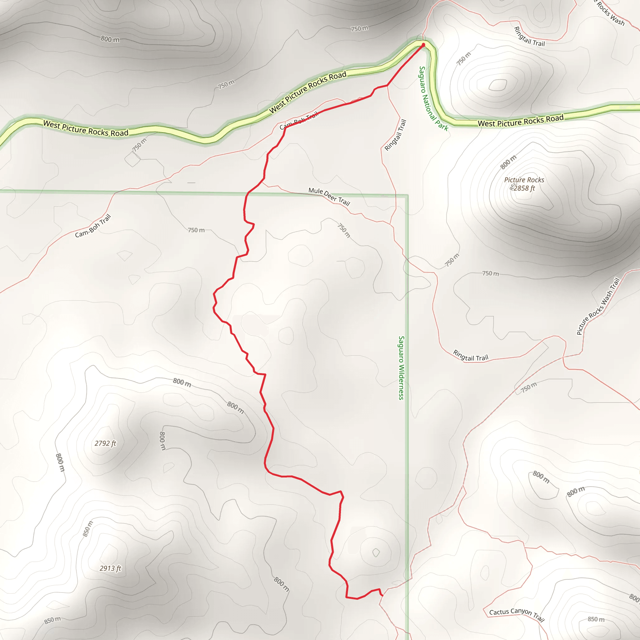 Ironwood Forest Trail via Cam - Boh Trail mobile static map