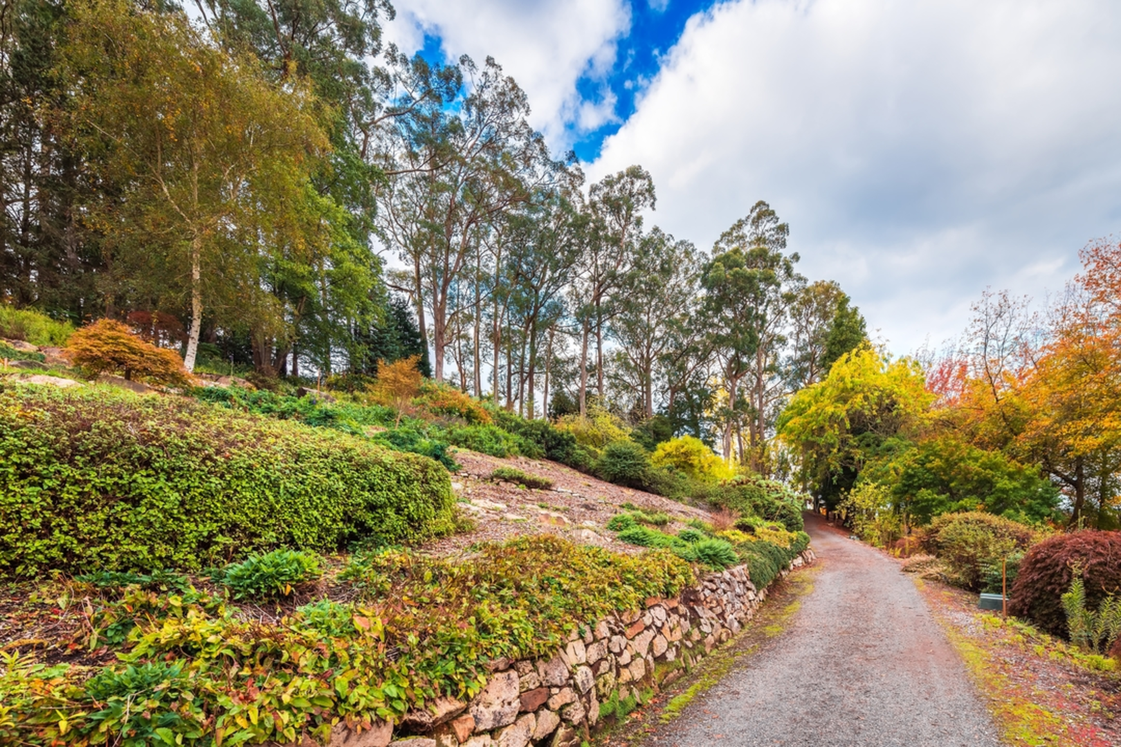 An image depicting the trail Mount Lofty Trail and its surrounding area.