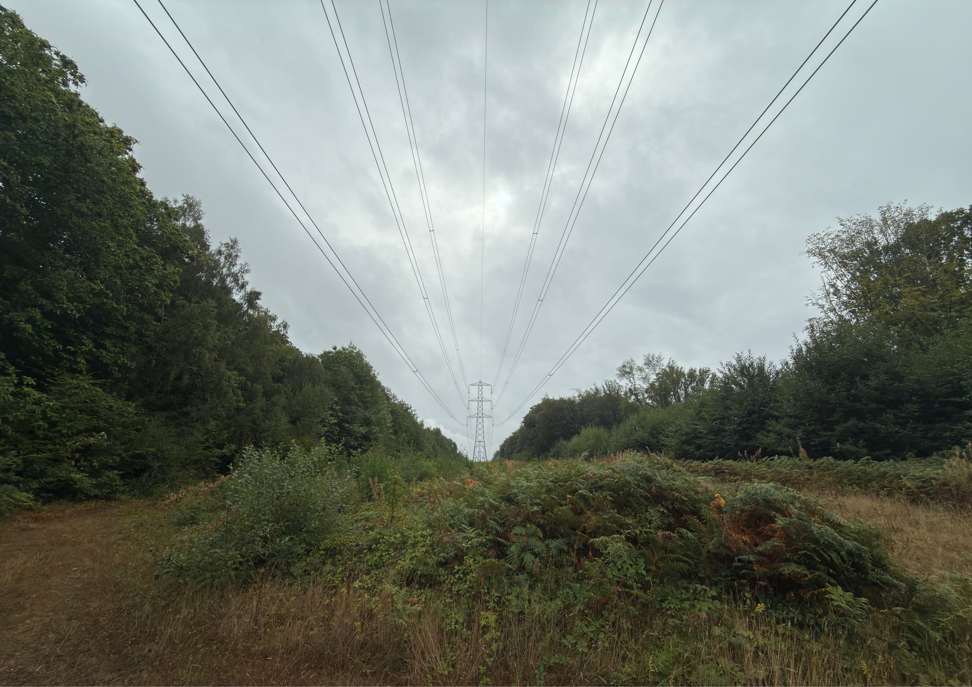 A map preview of the recording Ranscombe Farm Reserve - Aug 29.