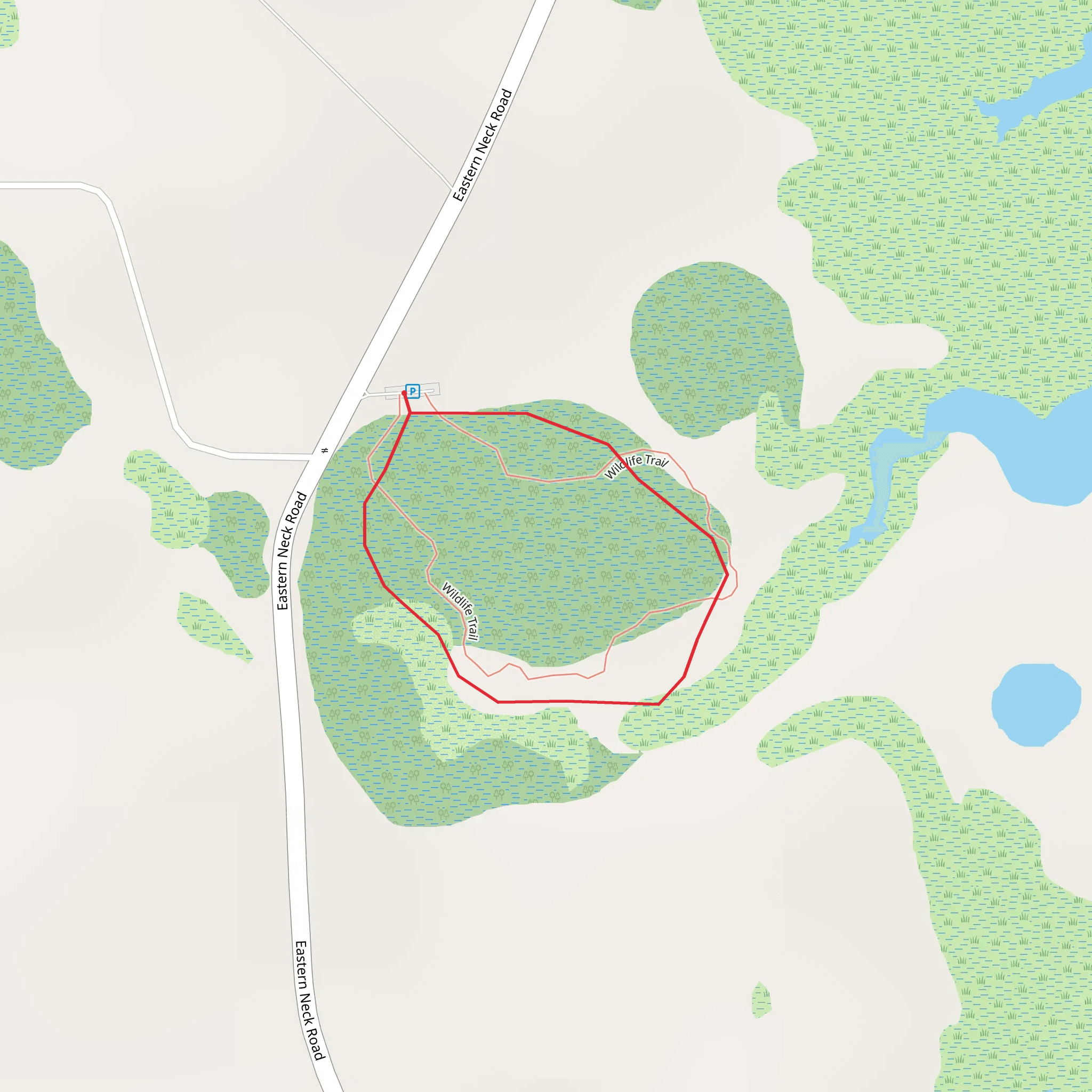 Wildlife Loop Trail mobile static map