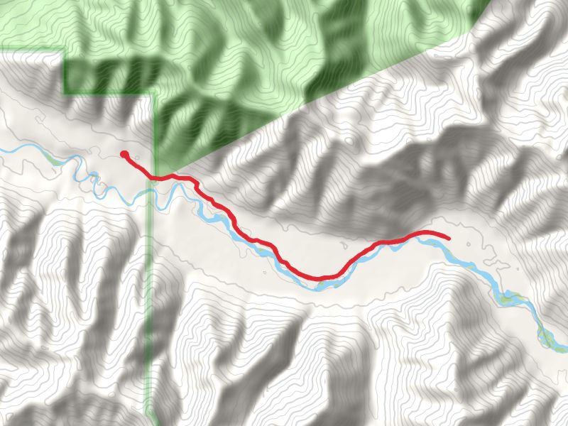 South Fork Hoh River Trail