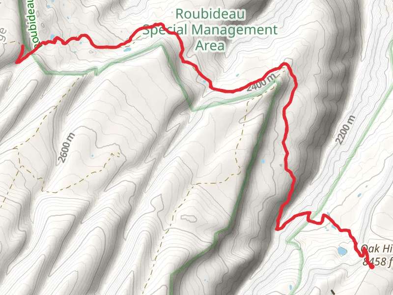Old Transfer Trail