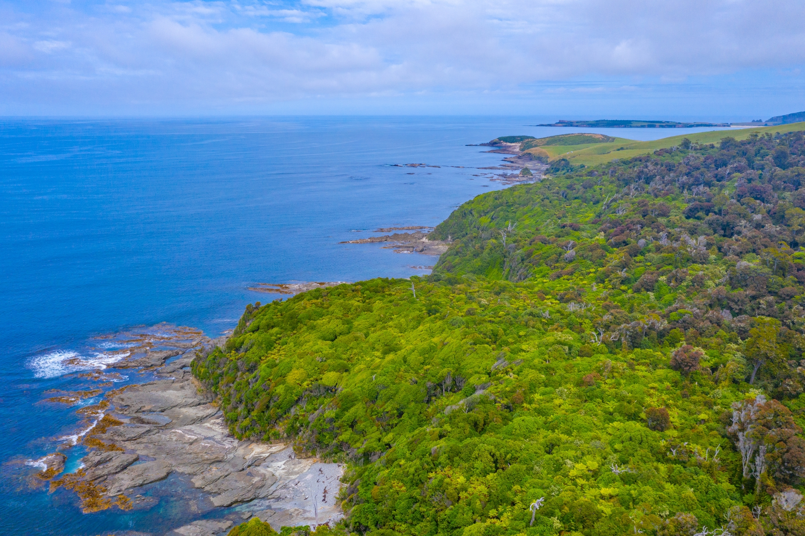 An image depicting the trail Papatowai Walk - Old Coach Road and its surrounding area.