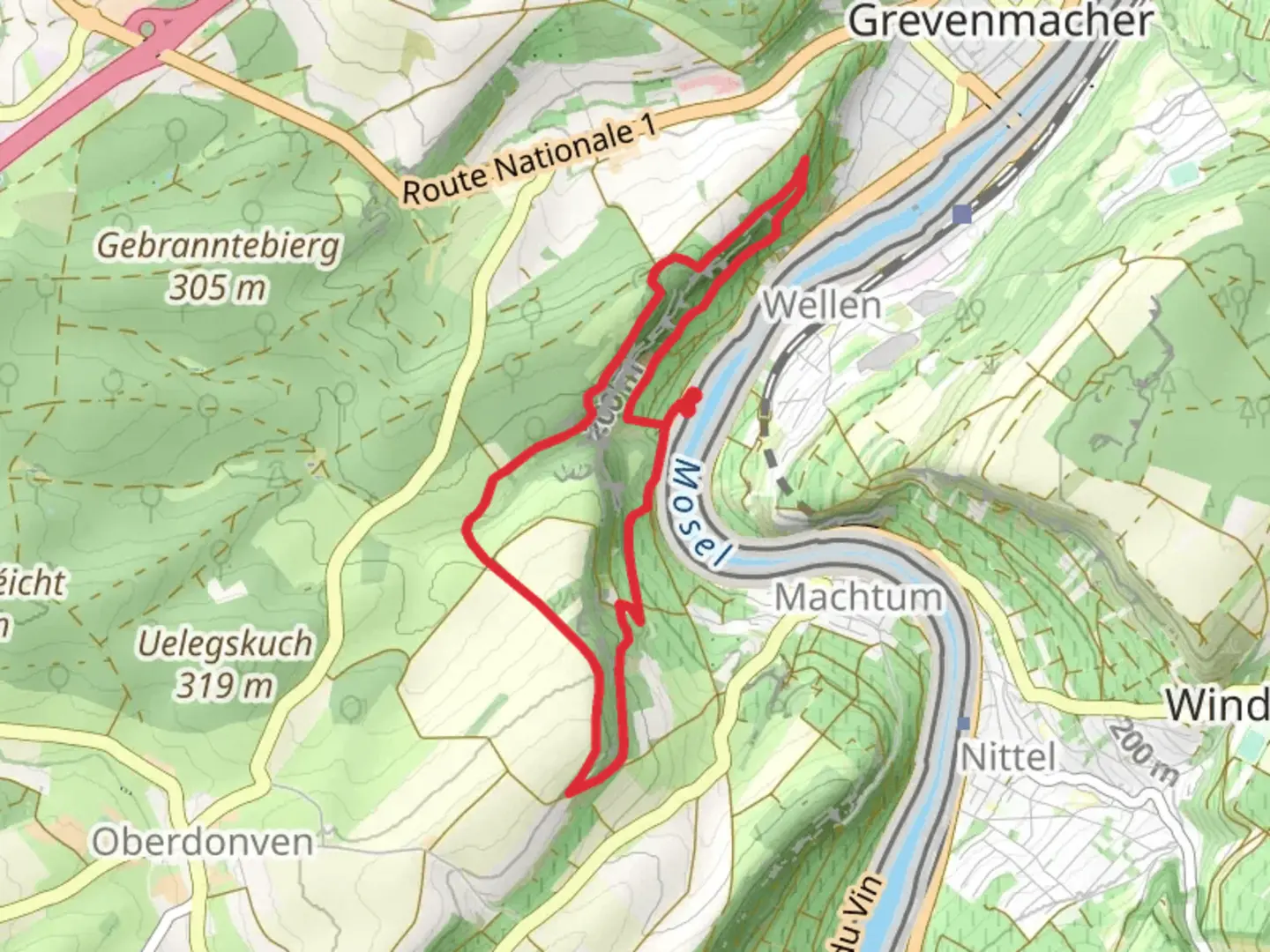An image depicting the trail Deisermillen and Machtum Loop and its surrounding area.