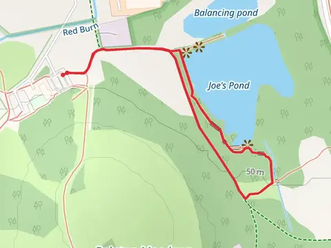 Joe's Pond Walk