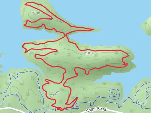 The White Zone Loop