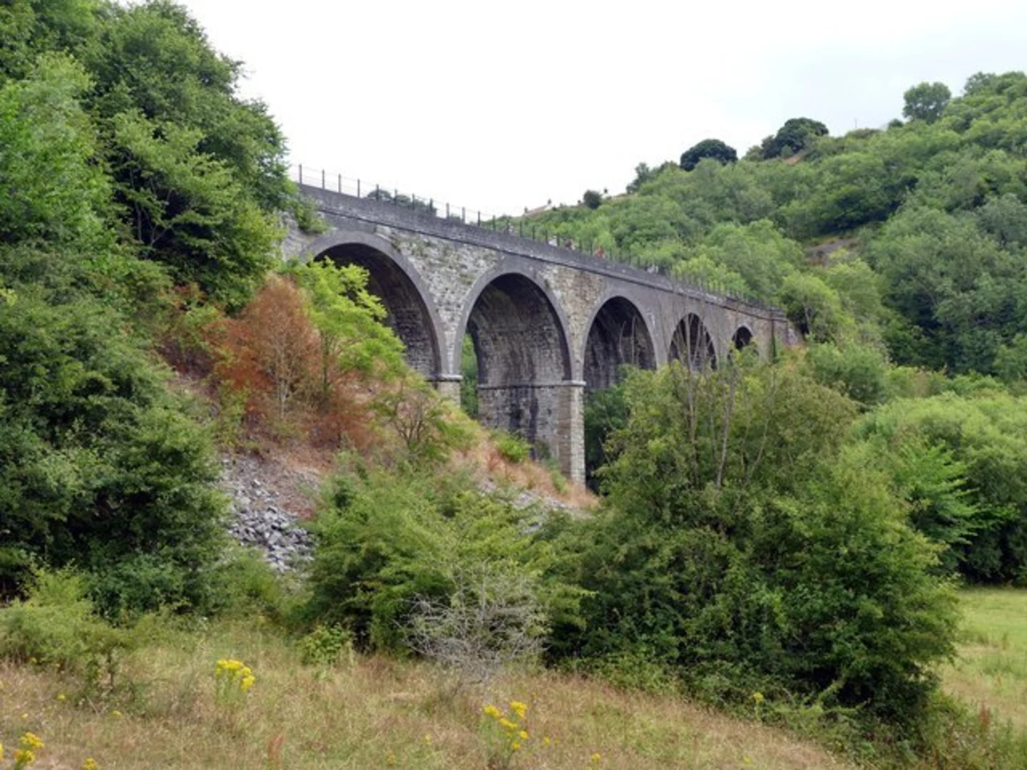 An image depicting the trail Monsal Dale and The River Wye from Ashford in the Water and its surrounding area.
