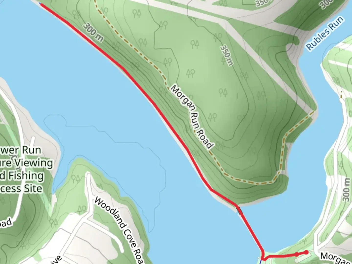 An image depicting the trail Cheat River and its surrounding area.