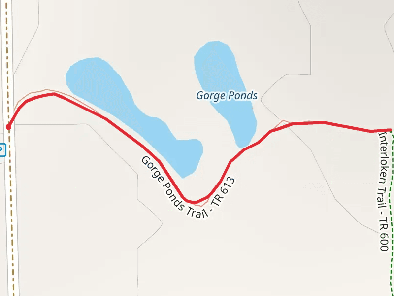 Gorge Pond Trail