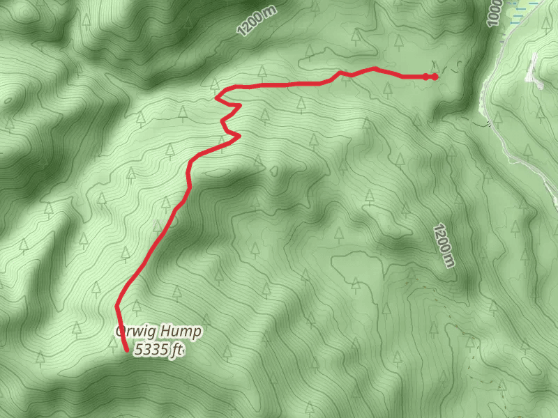 Orwig Hump Trail