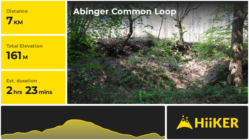 Abinger Common Loop | Surrey | England