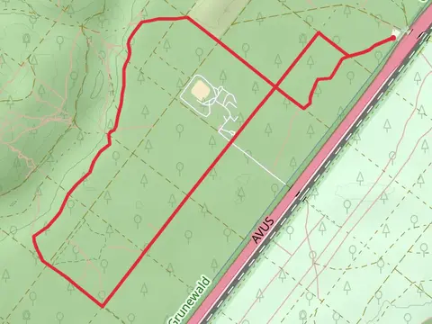 Waldparkplatz am Großen Stern Loop