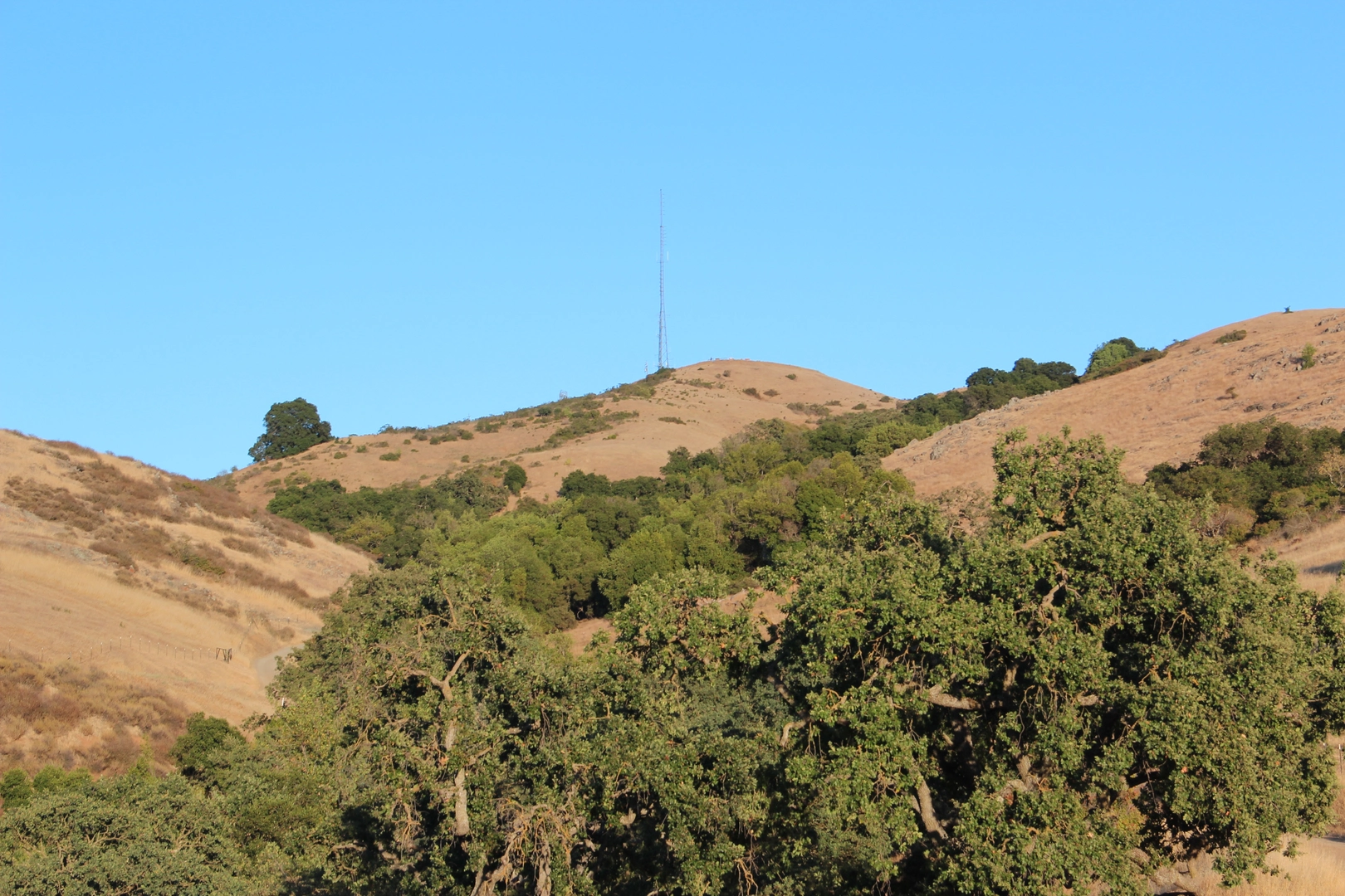 An image depicting the trail Coyote Peak - Rocky Ridge Loop Trail and its surrounding area.