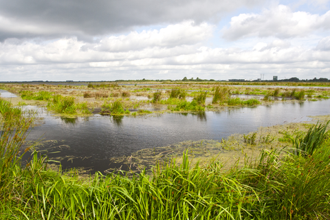 Molenpad, Polderpad and Strand Weg Loop