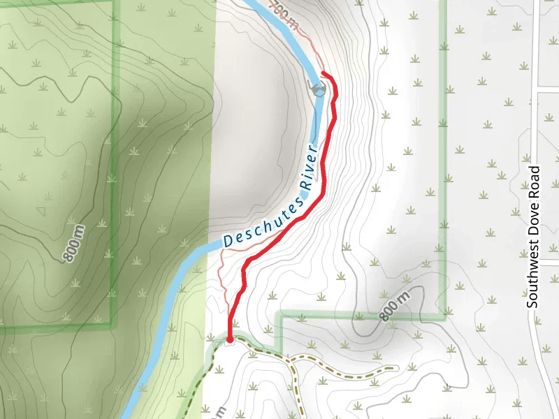 Steelhead Falls Trail