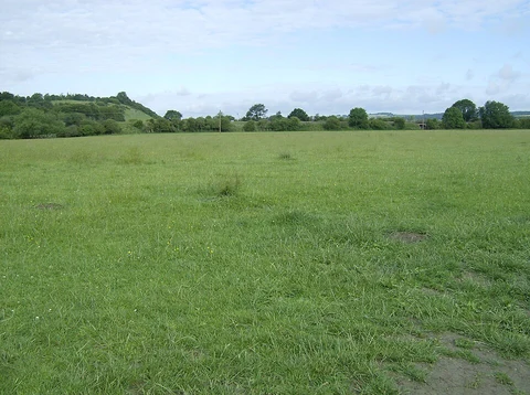 Cookham Dean, Winter Hill and Cock Marsh and Merlins Mead Loop