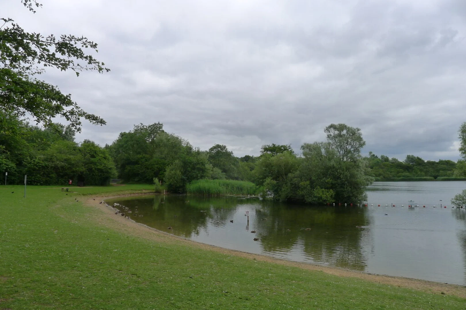 An image depicting the trail Crown Lakes Loop and its surrounding area.