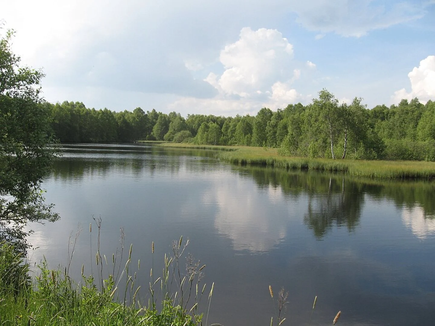 An image depicting the trail Rotes Moor via Moorrundweg and its surrounding area.