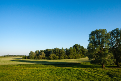 Amerongse Bovenpolder, Henschotermeer and Hoge Ginkel Loop